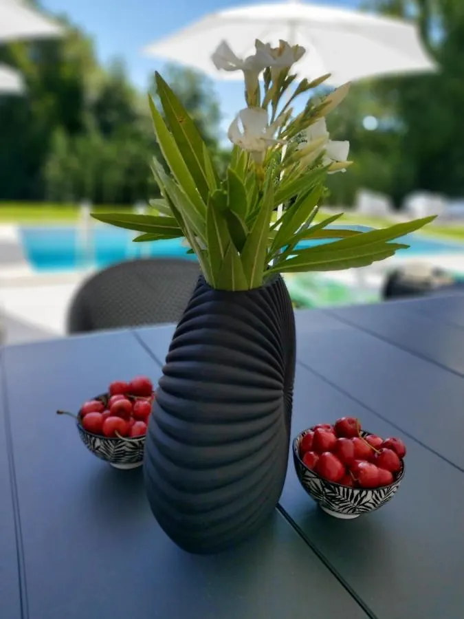 Villa Destiny Nedescina, Istrien, Kroatien